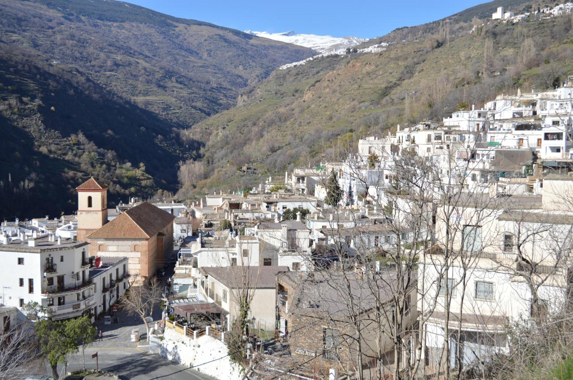 Hotel Rural Alfajia De Antonio Capileira Dış mekan fotoğraf